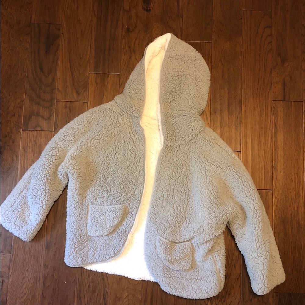 grey teddy bear coat